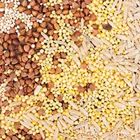 7 Multigrain